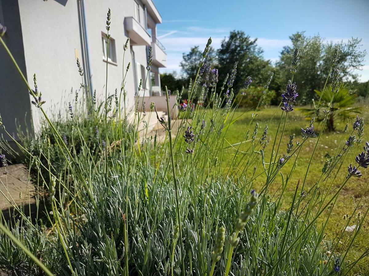 פורץ Apartment Vitalia 2+2 מראה חיצוני תמונה
